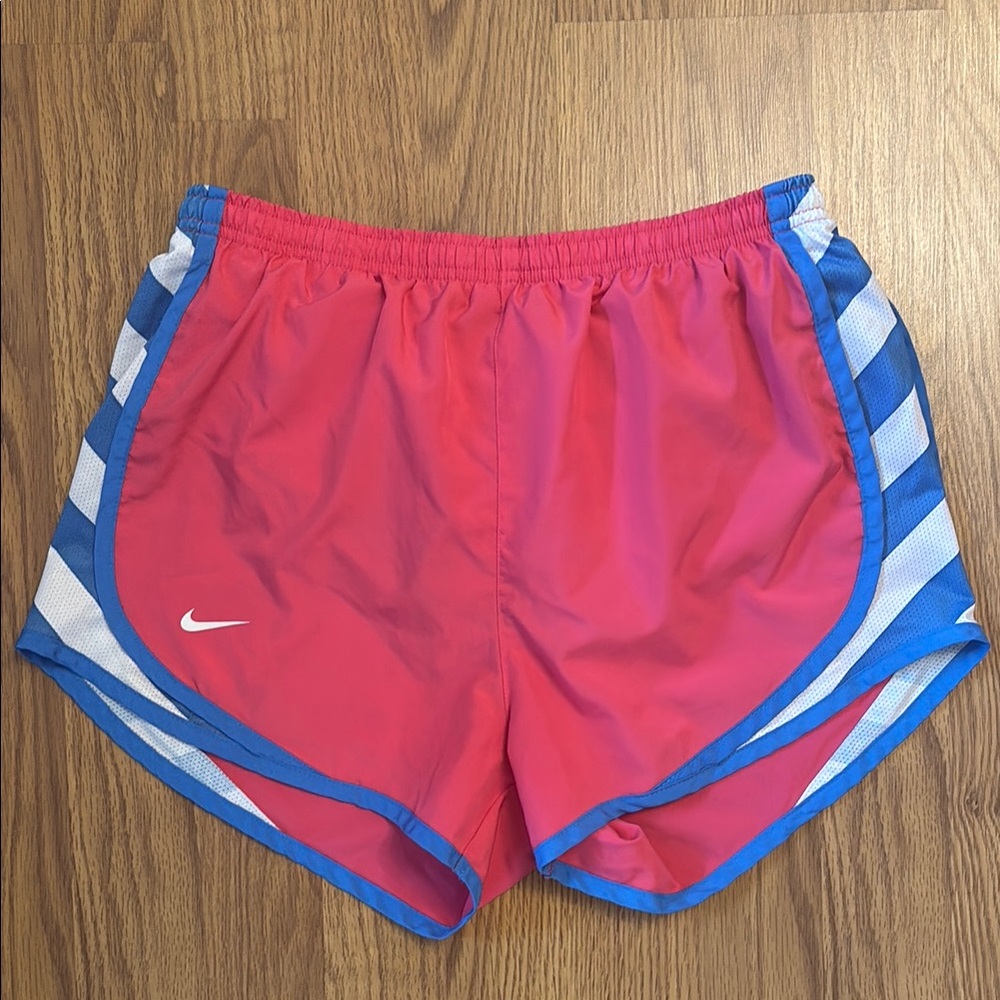 Nike Fuchsia and Cobalt Running Shorts
